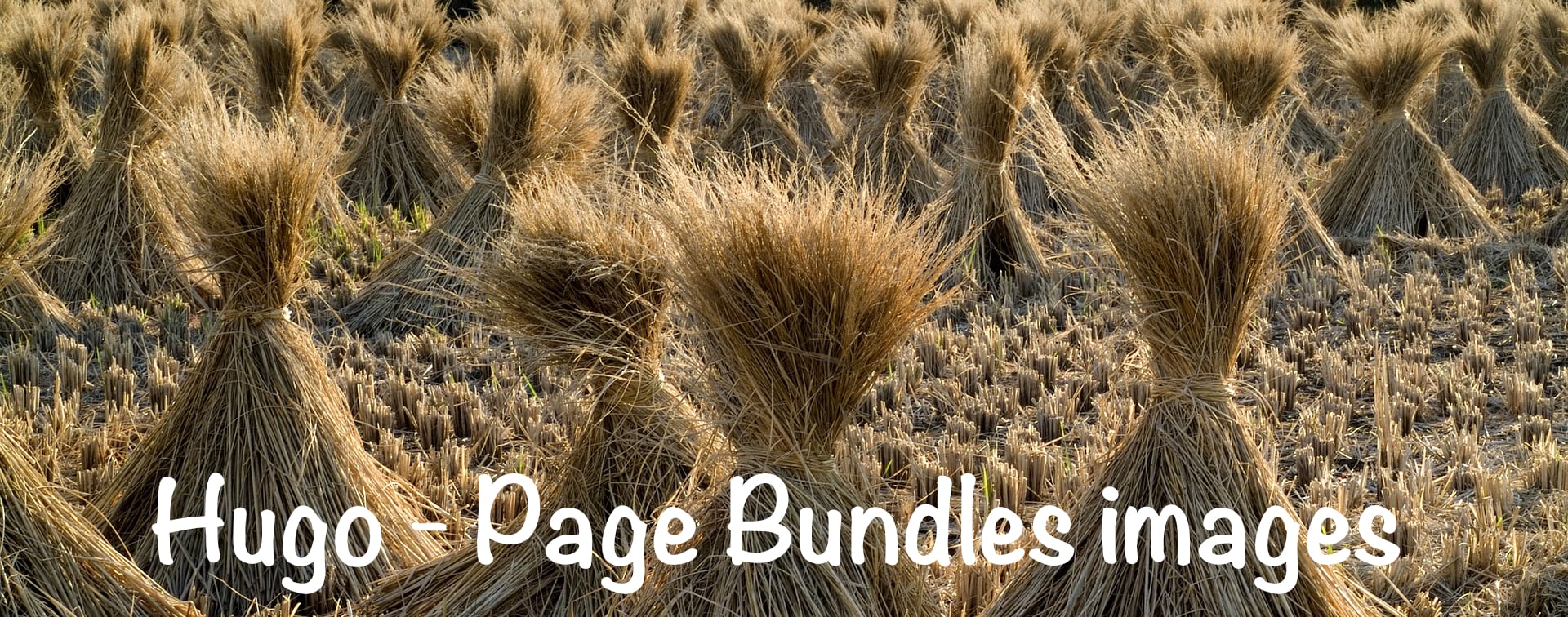 Page Bundles images
